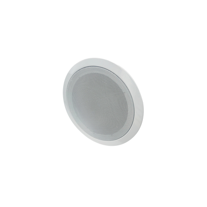 SiteWatch 30W Indoor Speaker, Deterrence & Proactive Security Alerts | DW Intelligent Surveillance Solutions